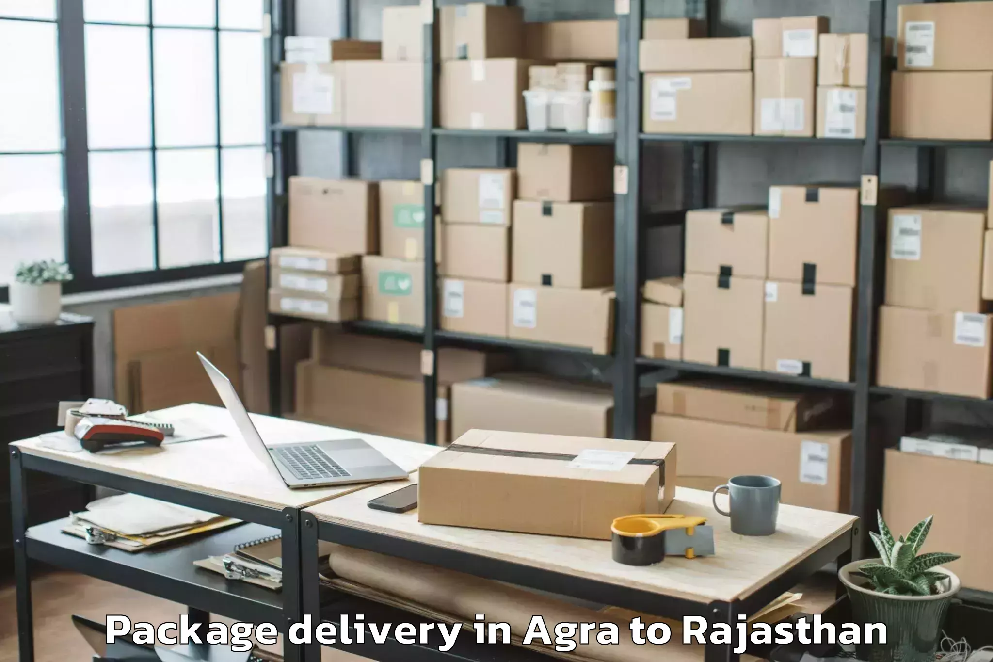 Reliable Agra to Gangapur Bhilwara Package Delivery